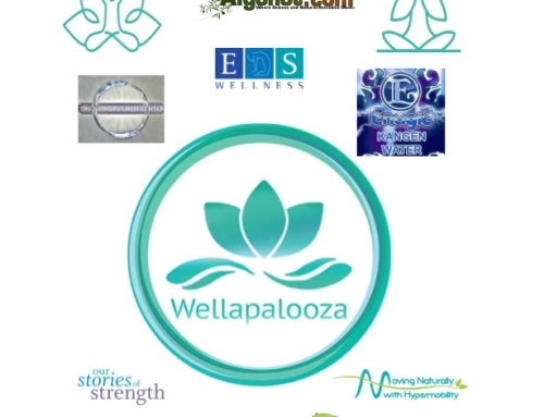 Rounding out a great year with Wellapalooza 2015 – Post-Wella Update part 2