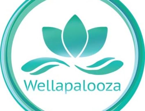 Wellaplaooza 2015 – Natural Movement, Physical Therapy, and “Just 5 Minutes” Discussion